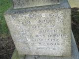 image of grave number 371597